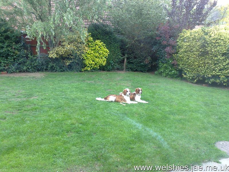 2010-09-18 01.jpg - And no, this wasn't posed!